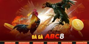 ảnh đại diện đá gà abc8